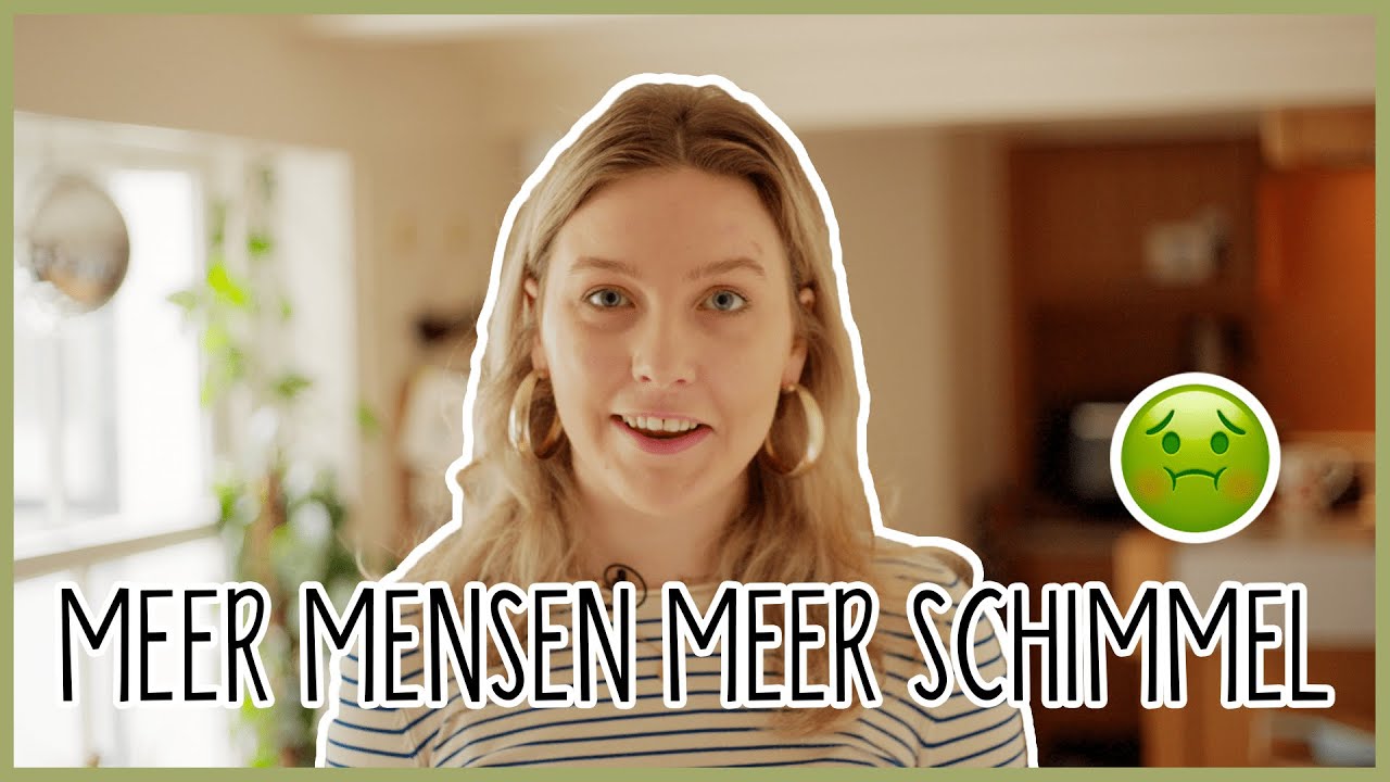 schimmelproblemen