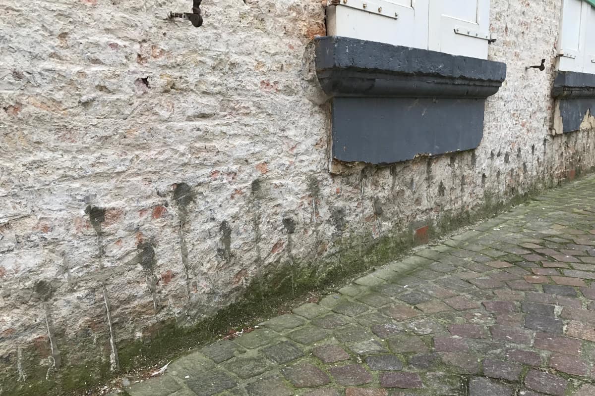 specialisten vochtbestrijding