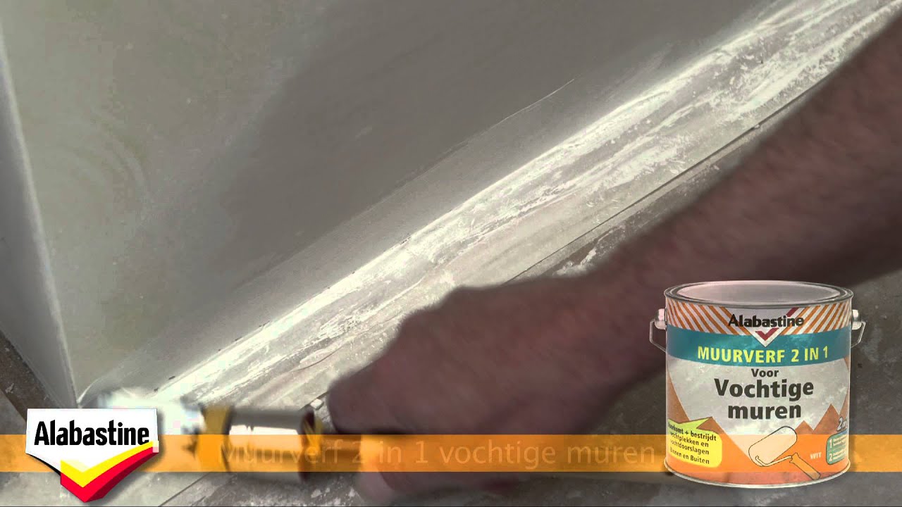 vochtige kelder schilderen