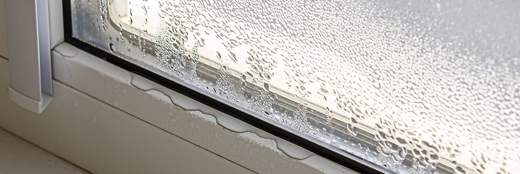 vocht bestrijden in huis