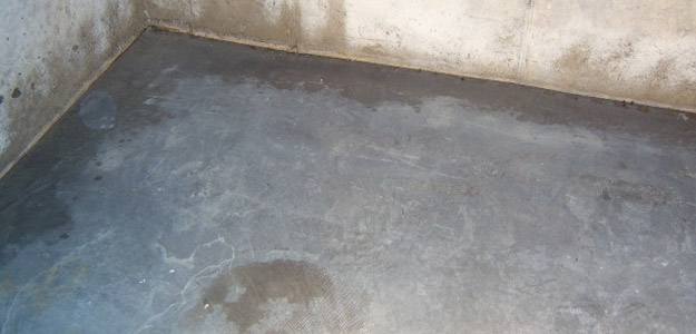 vochtige kelder opknappen