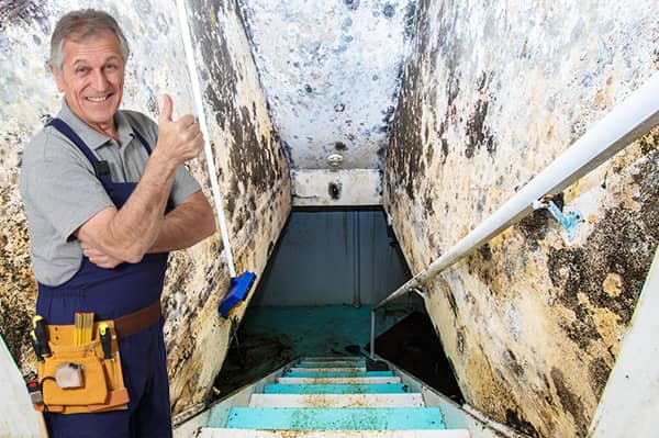 vochtproblemen kelder oplossen