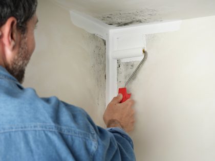 schimmel muur verven