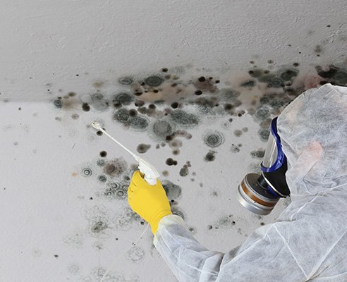 vochtige kelder droog maken