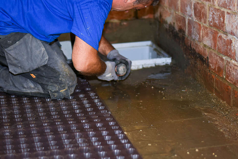 bekuiping kelder prijs